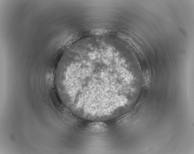 X0000114130427200911191126