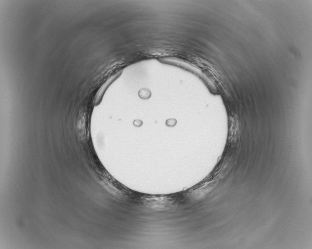 X0000114130428200911191126