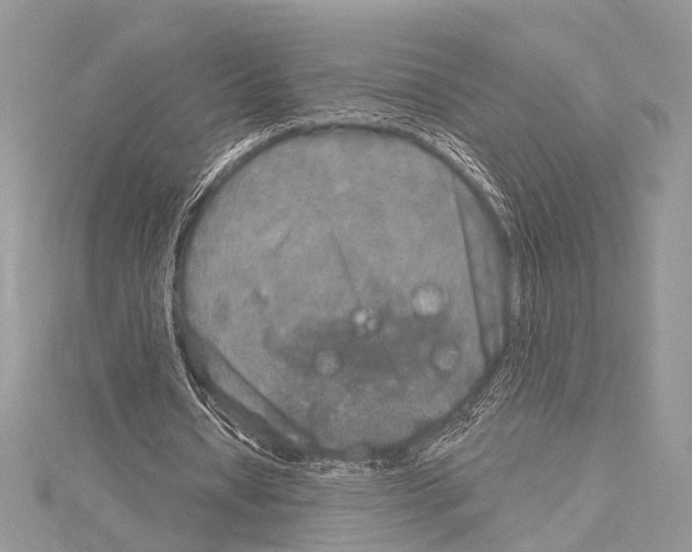 X0000114130434200911191125