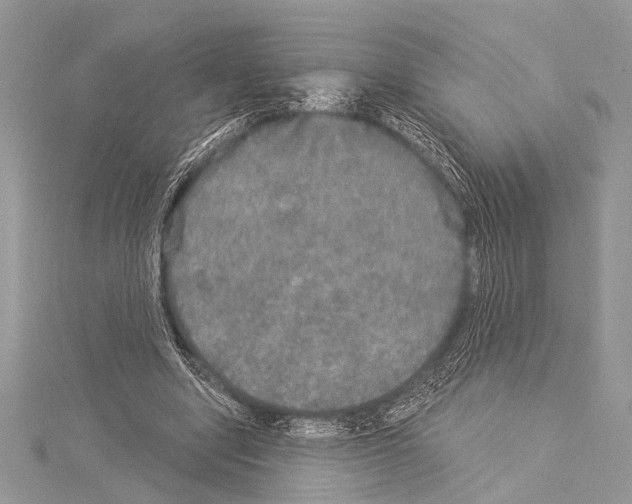 X0000114130442200911191125