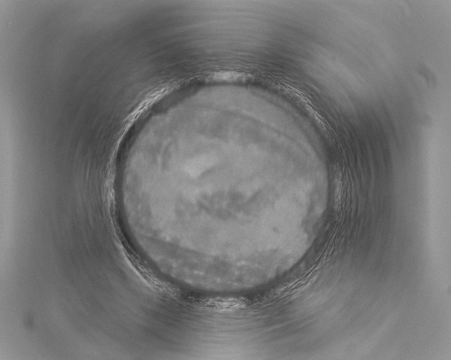 X0000114130443200911191125