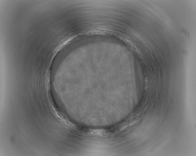 X0000114130446200911191126