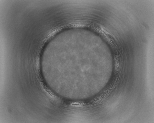 X0000114130447200911191126