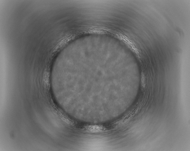 X0000114130449200911191126