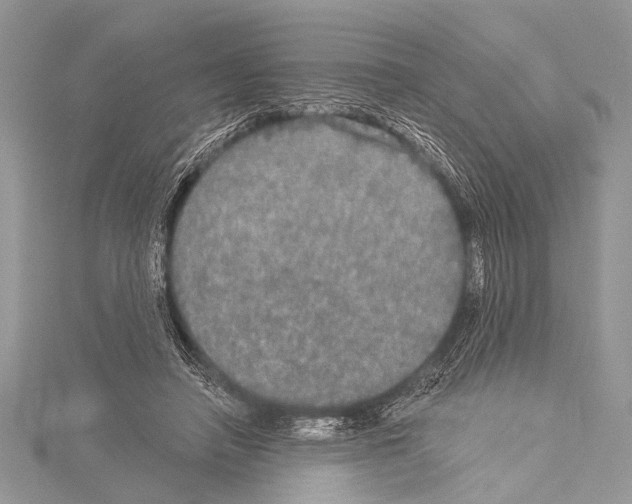 X0000114130450200911191126