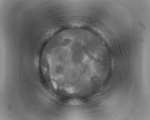 X0000114130451200911191126