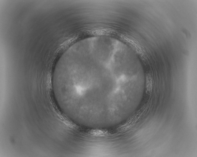 X0000114130453200911191126