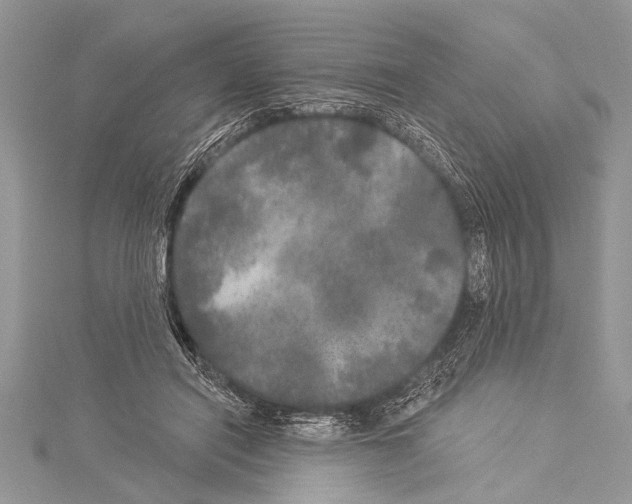 X0000114130454200911191126