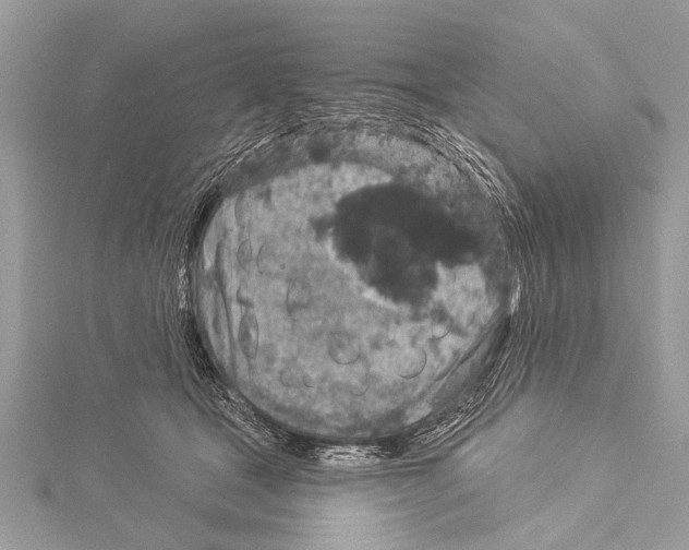 X0000114130465200911191126