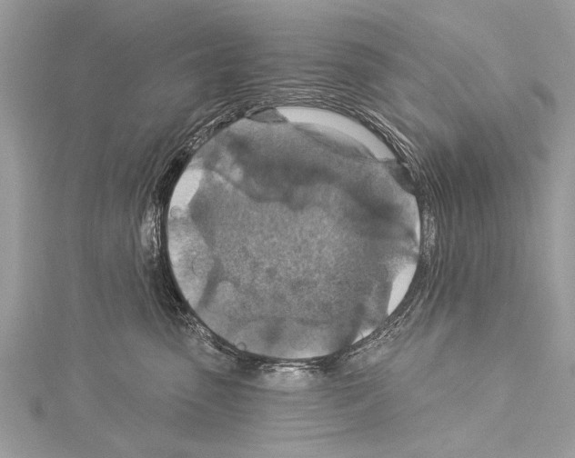 X0000114130475200911191126