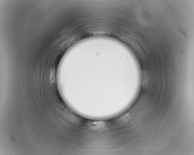 X0000114130478200911191126