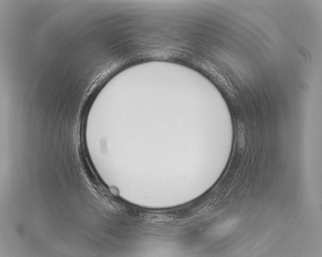 X0000114130486200911191125