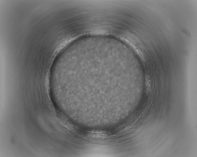 X0000114130487200911191125