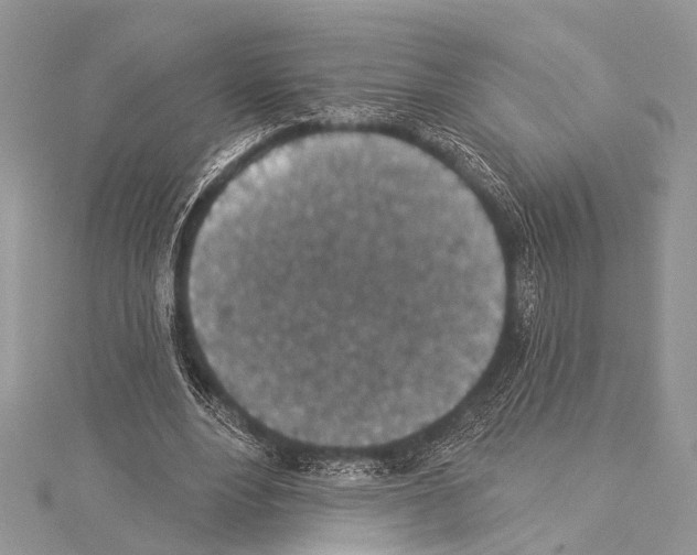 X0000114130488200911191125