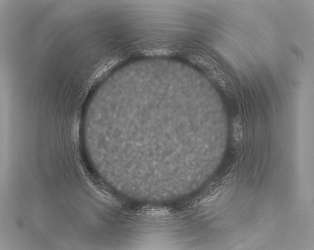 X0000114130491200911191125