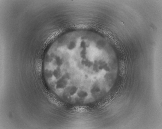 X0000114130495200911191125