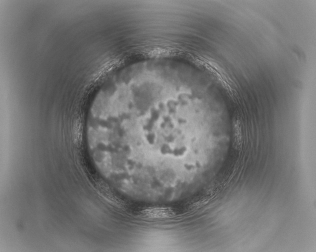 X0000114130499200911191125