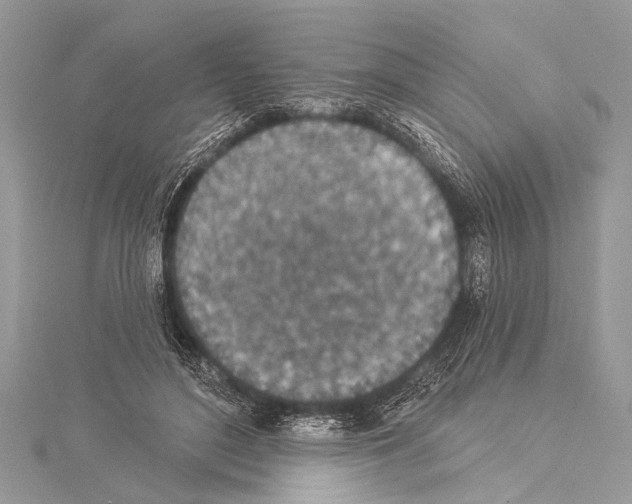 X0000114130500200911191125