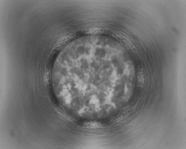 X0000114130503200911191125