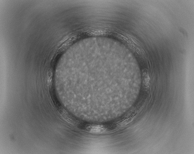 X0000114130507200911191125