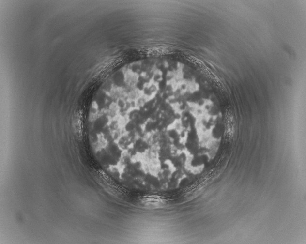 X0000114130519200911191125