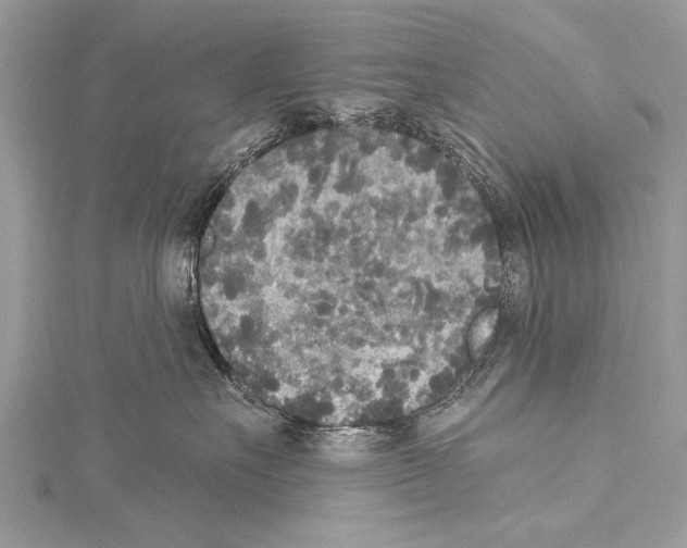 X0000114130527200911191125