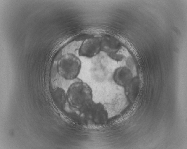 X0000114130529200911191124