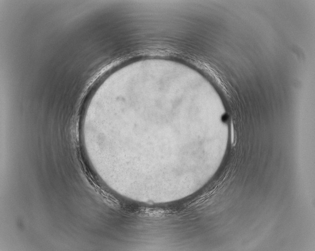 X0000114130531200911191124