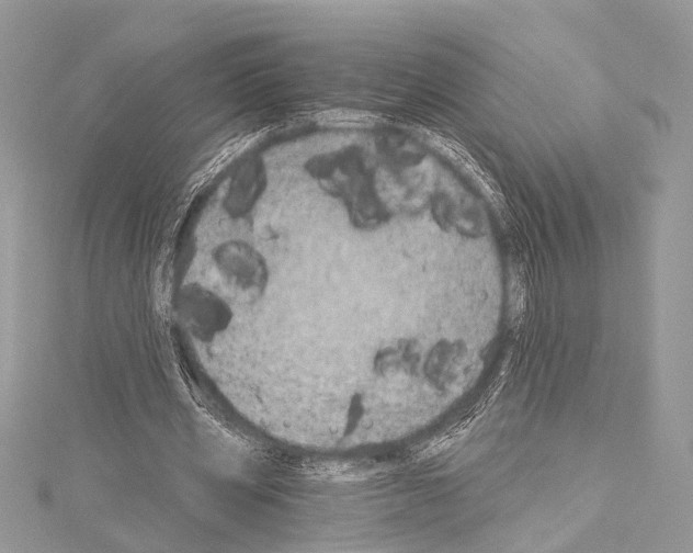 X0000114130533200911191124