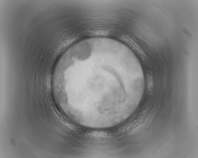 X0000114130537200911191124