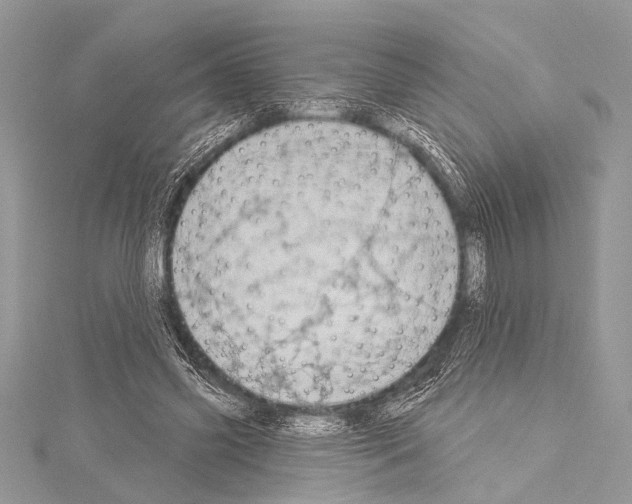 X0000114130541200911191124