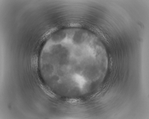 X0000114130542200911191124