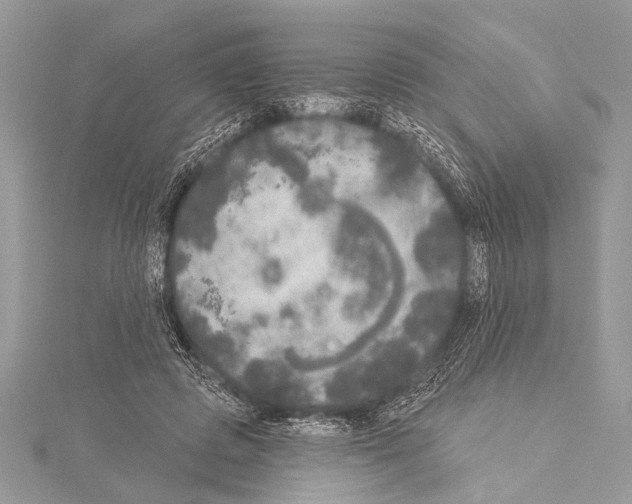 X0000114130545200911191124