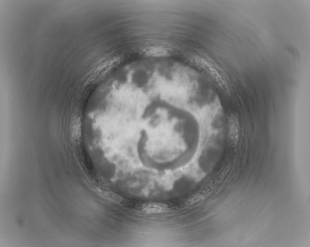 X0000114130549200911191124