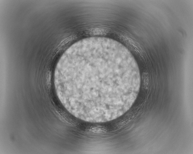 X0000114130550200911191124