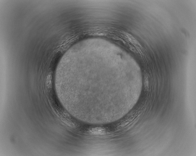 X0000114130551200911191124