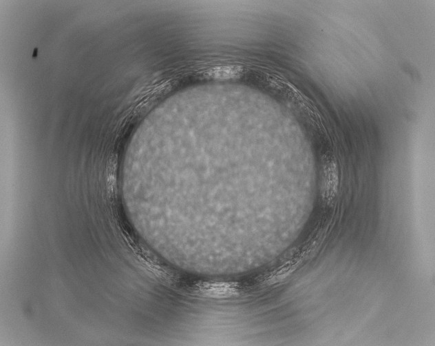 X0000114130553200911191124