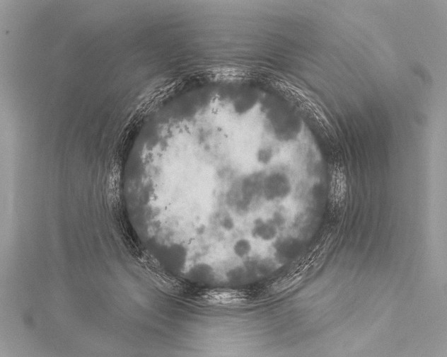 X0000114130557200911191124