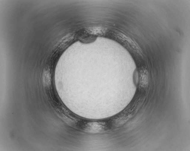 X0000114130558200911191124