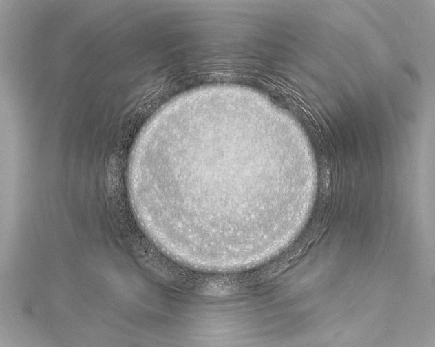 X0000114130567200911191125