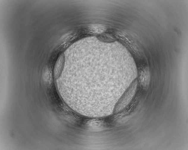 X0000114130568200911191125