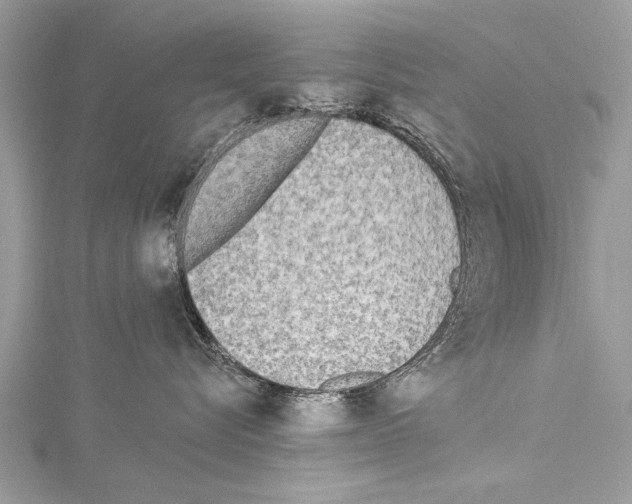 X0000114130576200911191125