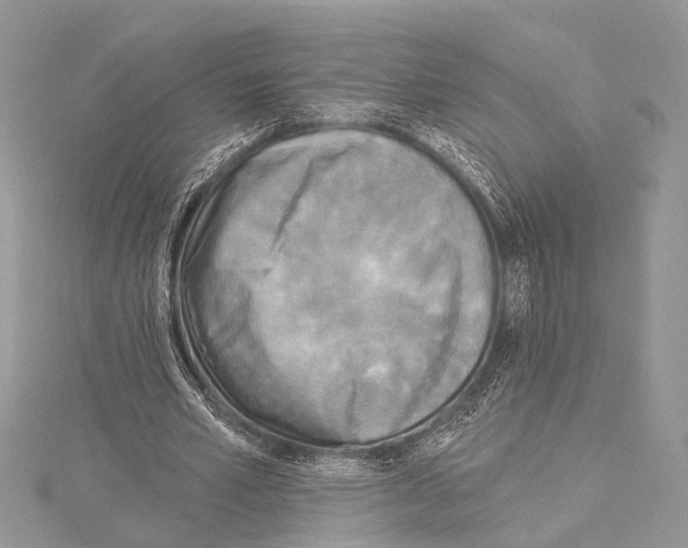 X0000114130581200911191124