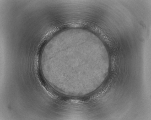 X0000114130590200911191124