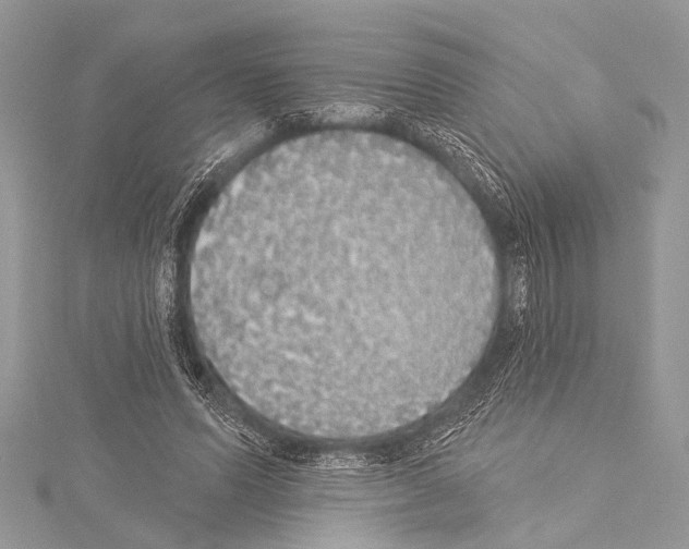 X0000114130591200911191124