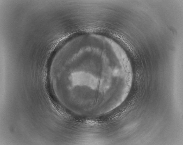 X0000114130592200911191124