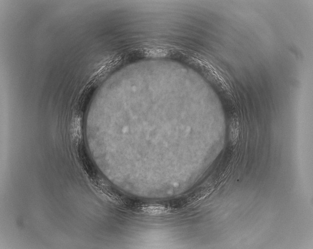 X0000114130598200911191124