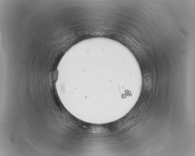 X0000114130605200911191124