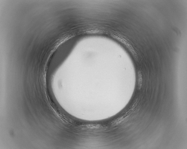 X0000114130626200911191123