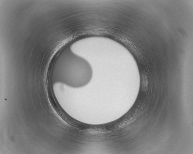 X0000114130630200911191123